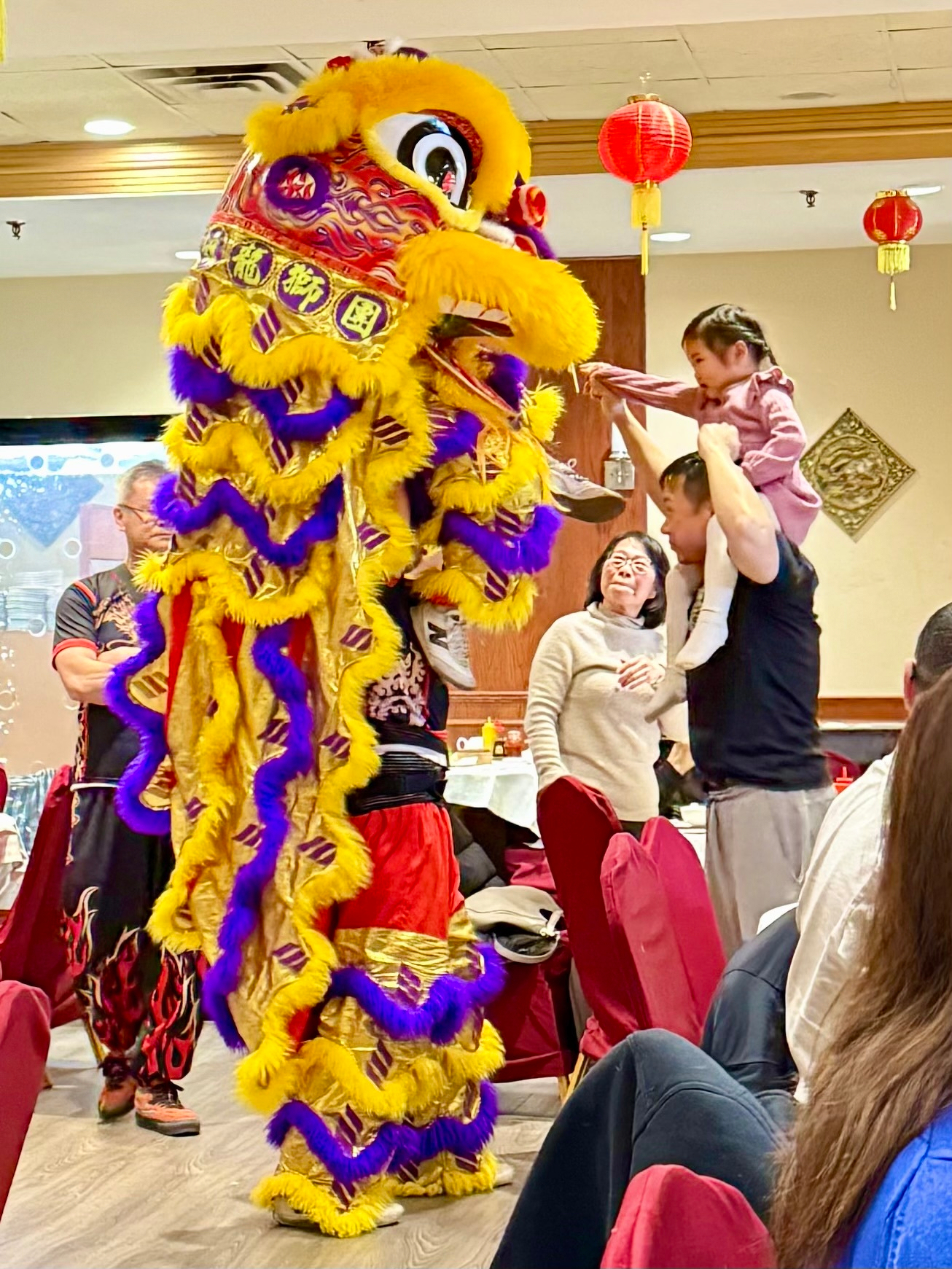 A vibrant lion dance performance is taking place in a restaurant. The lion costume is adorned with bright yellow and purple fur, and intricate red and gold details. Two people operate the lion, one visible in red pants with flame patterns. A man holds a young child on his shoulders, reaching out to the lion in delight. Red lanterns hang from the ceiling, adding to the festive atmosphere. Diners are seated at tables, visibly enjoying the event.